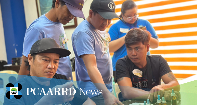 DOST-PCAARRD empowers Lucban farmers for market expansion with crop production training